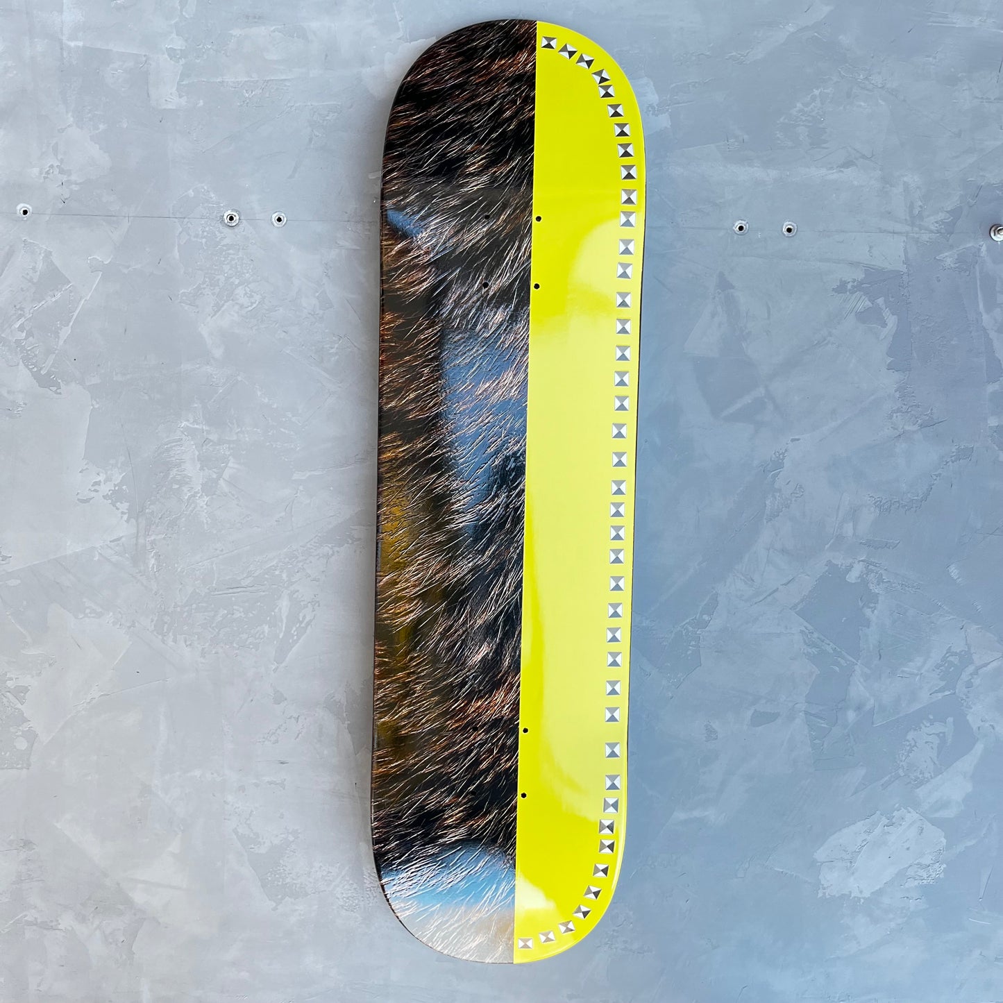 Violet Studded Banana Bear Deck