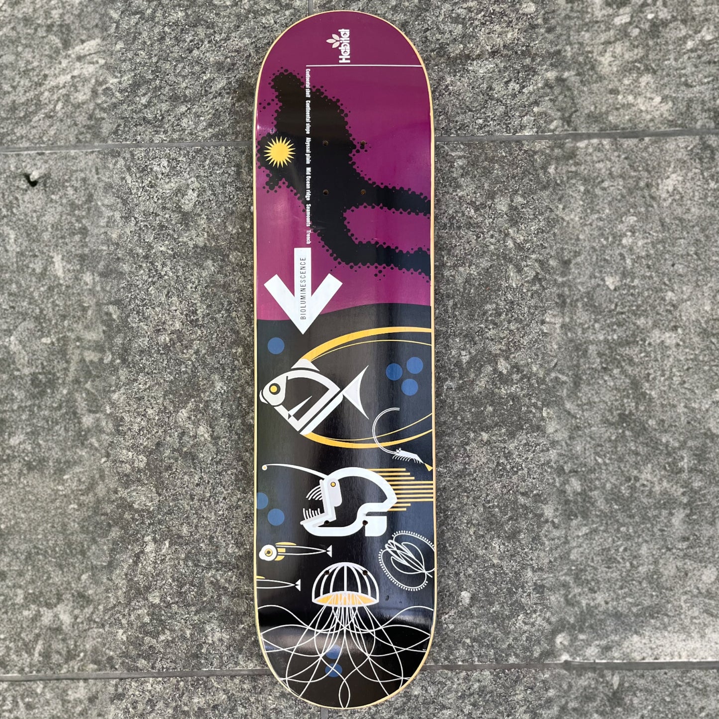 Habitat Bioluminescence Team Logo Series Board