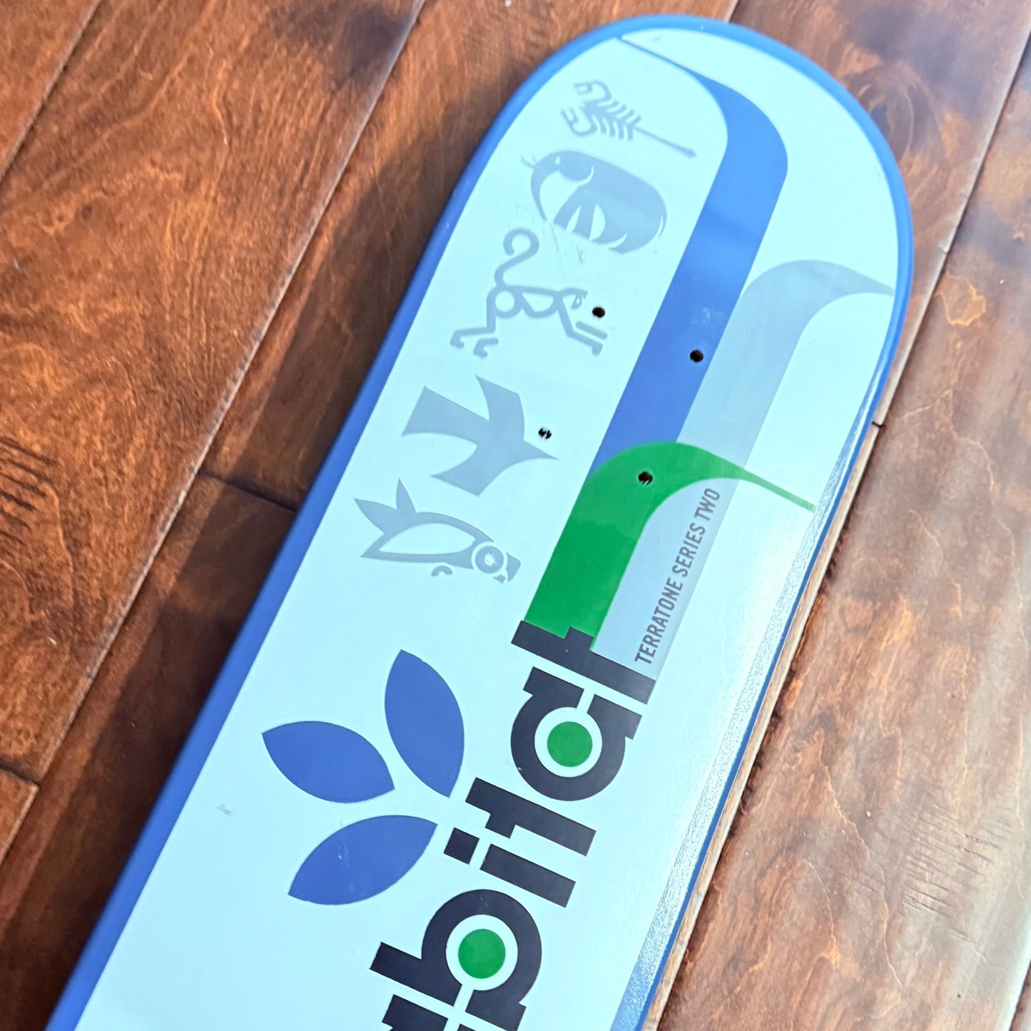 Habitat Terratone 2 Series Team Logo Board (2002)