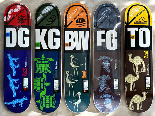 2002 Habitat Surveyor Boards (Complete Series)